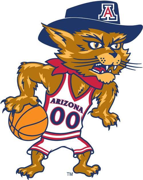 Arizona Wildcats 2003-Pres Mascot Logo v5 diy iron on heat transfer
